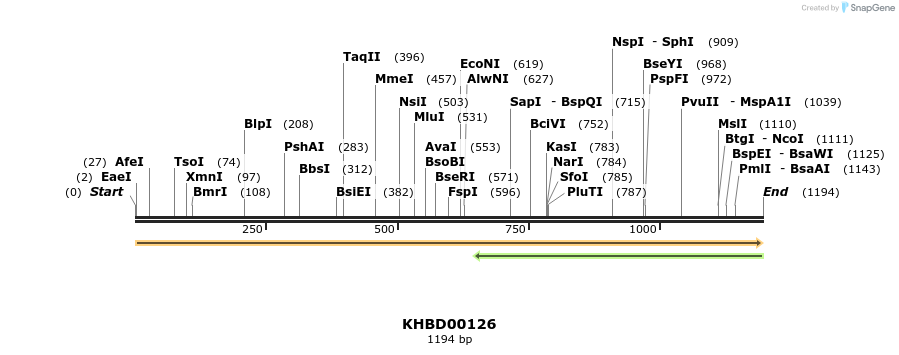 40847_map