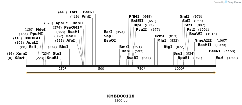 40849_map