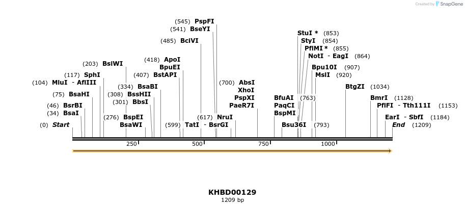 40850_map