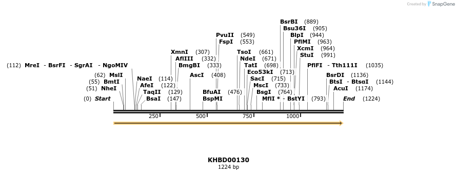 40851_map