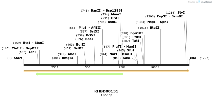 40852_map
