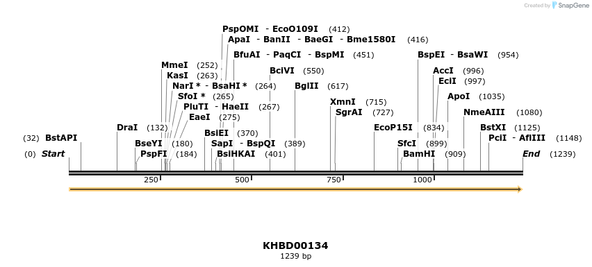 40855_map