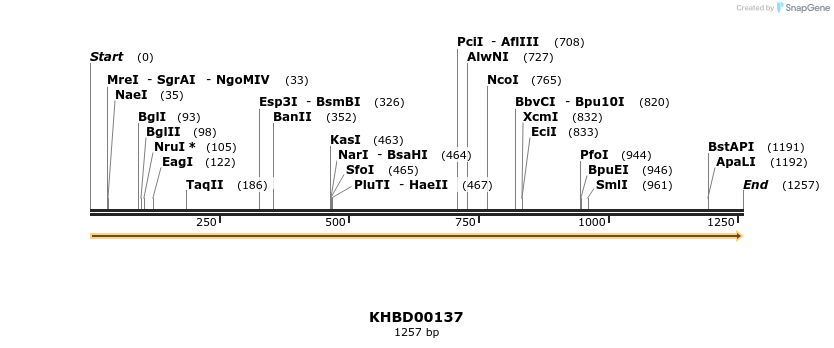 40858_map