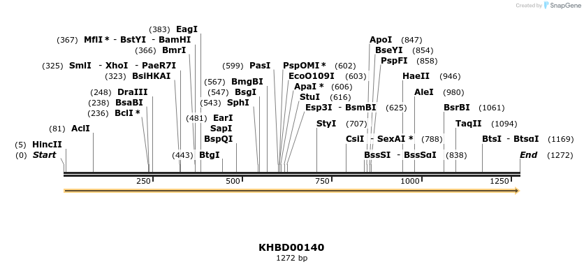 40861_map