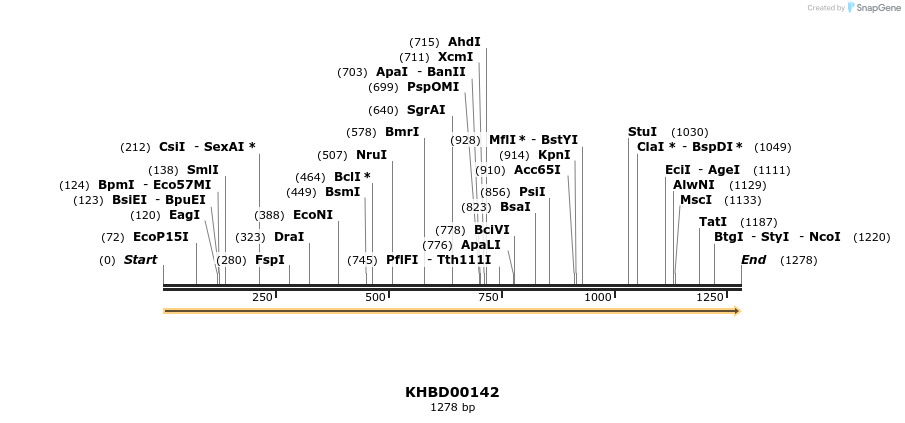 40863_map