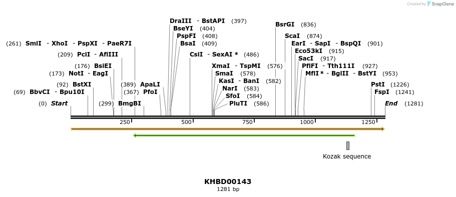 40864_map