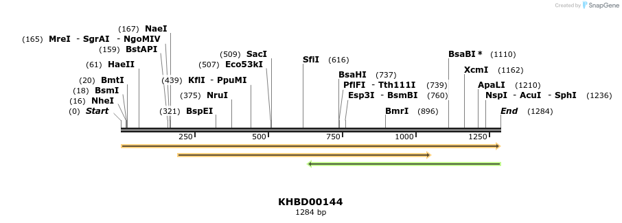 40865_map