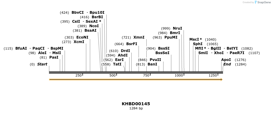 40866_map