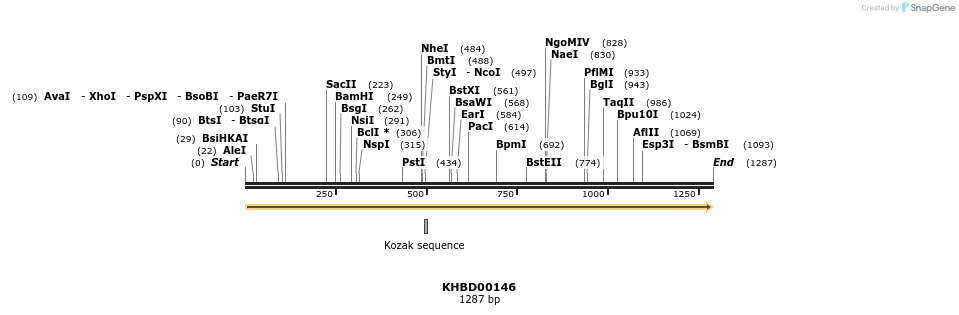 40867_map