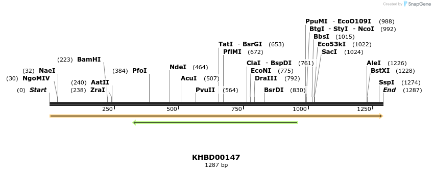 40868_map
