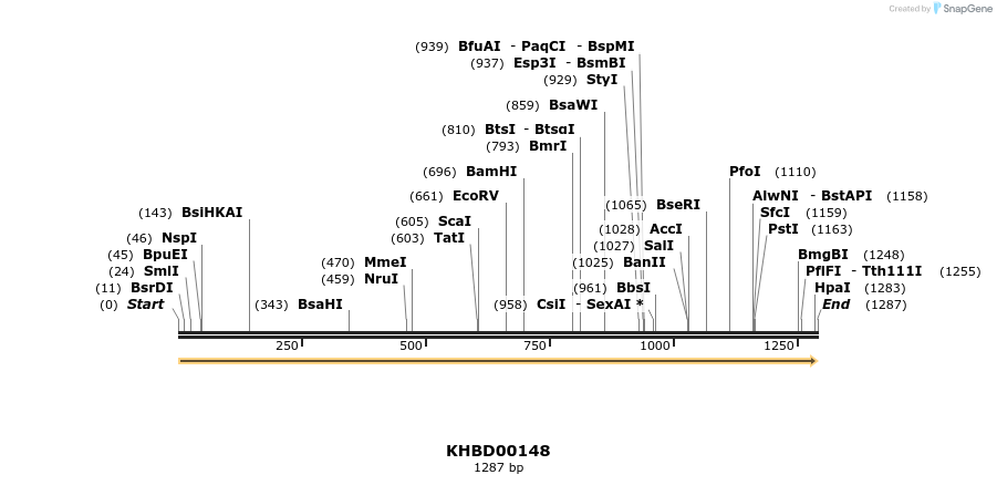 40869_map
