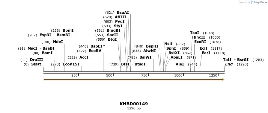 40870_map
