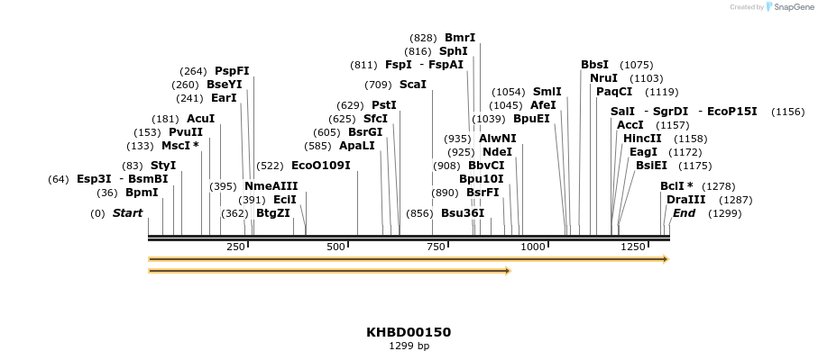 40871_map