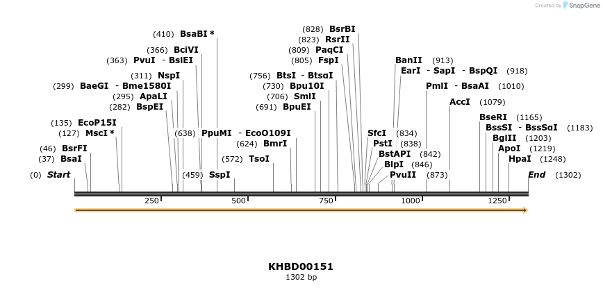 40872_map