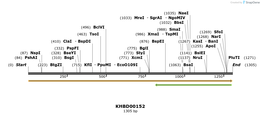 40873_map