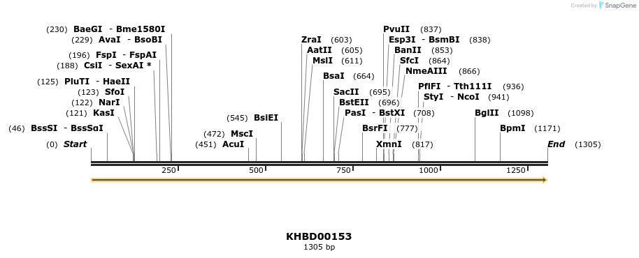 40874_map