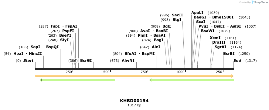 40875_map
