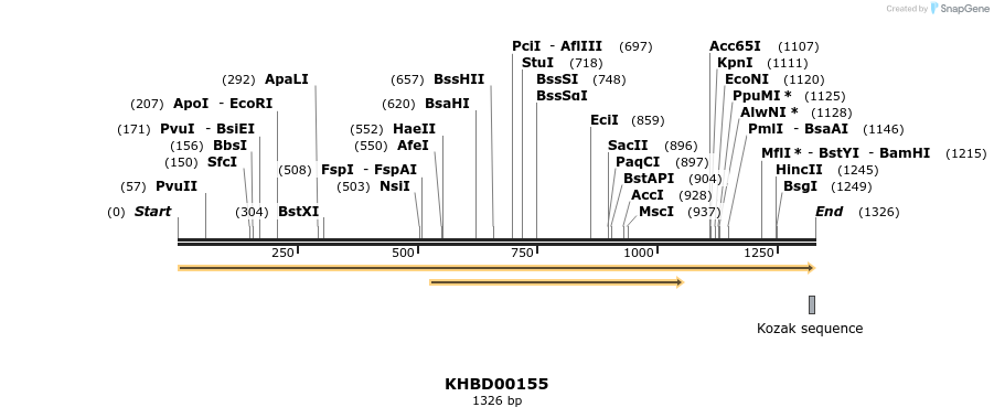 40876_map