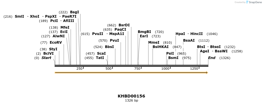 40877_map