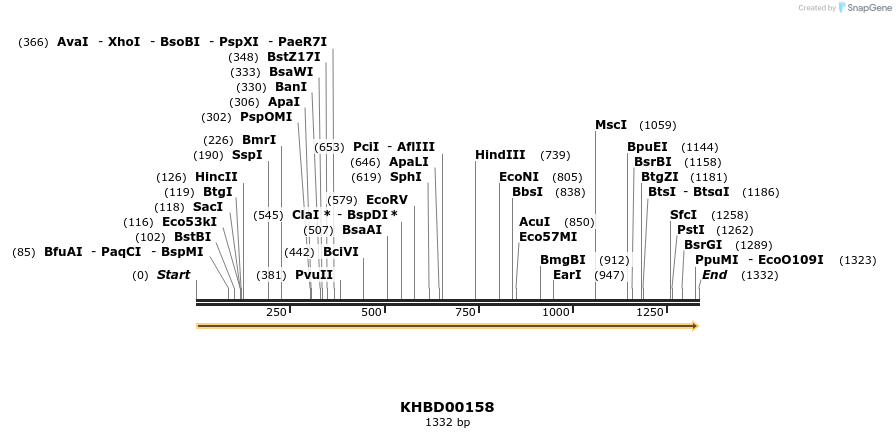 40879_map