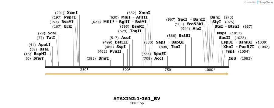 408795_map