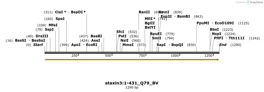 408796_map