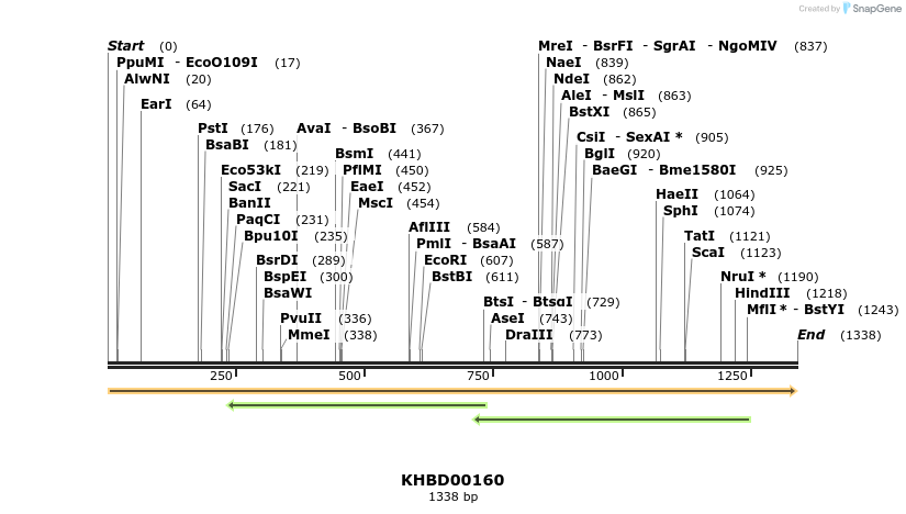 40880_map