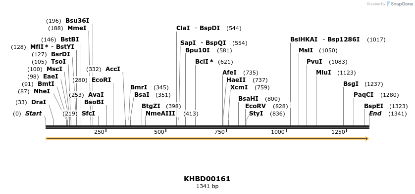 40881_map