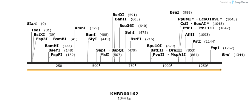 40882_map
