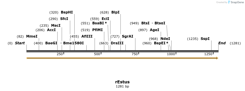 408823_map