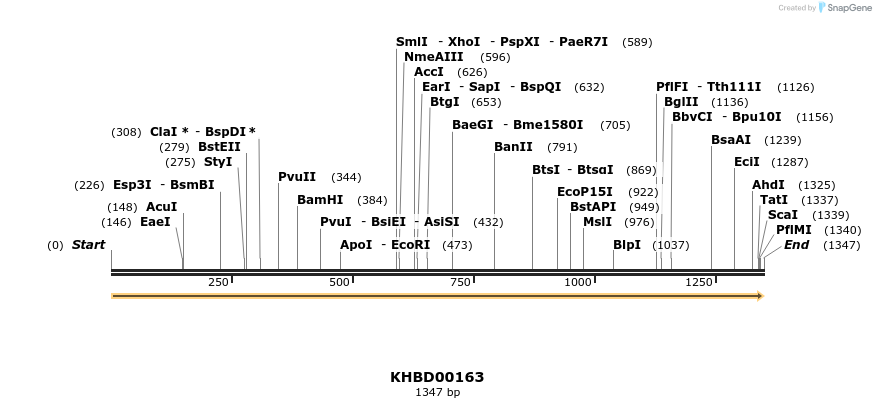 40883_map