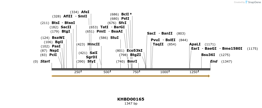 40885_map