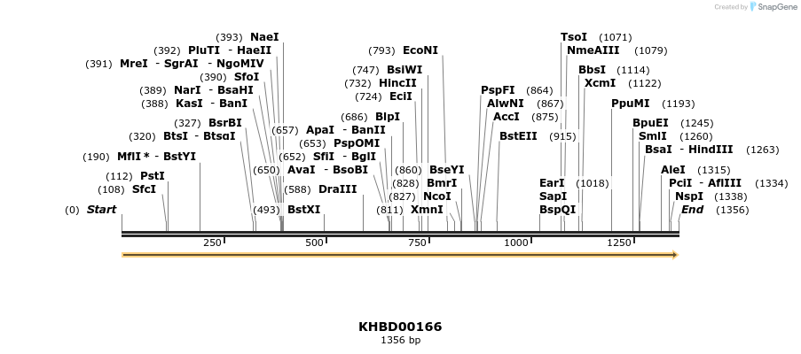 40886_map