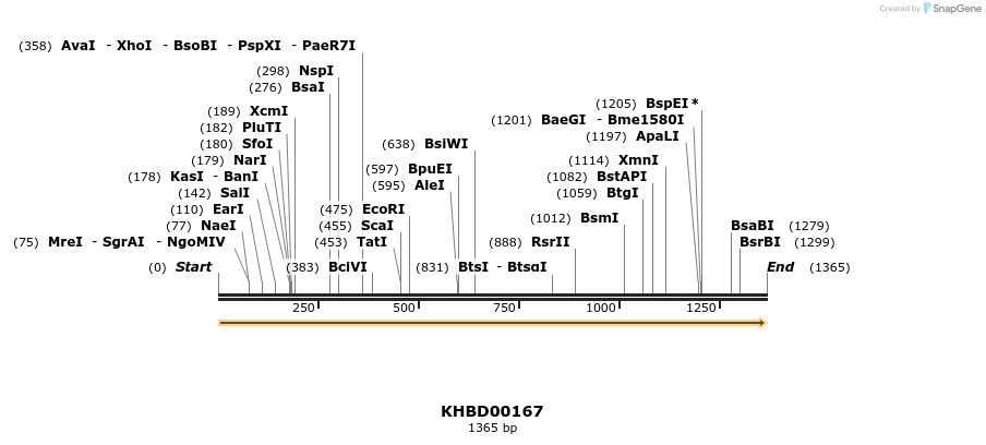 40887_map