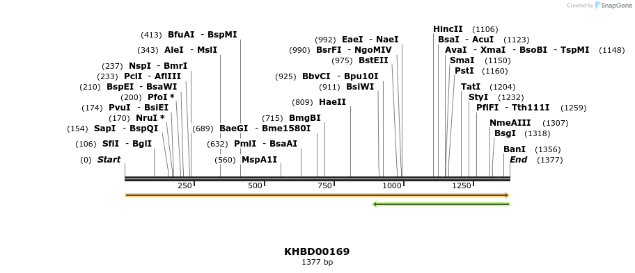 40889_map