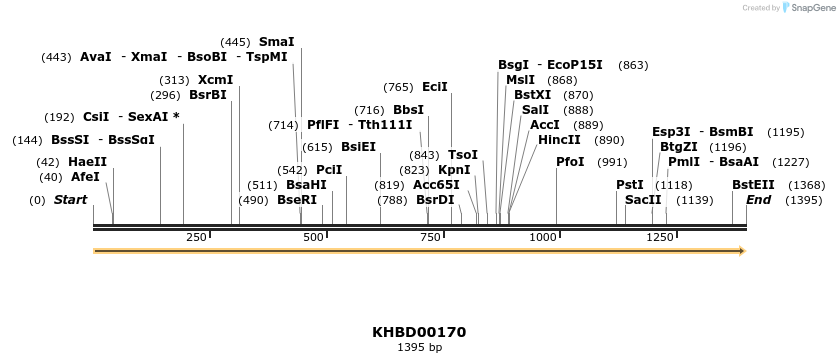40890_map