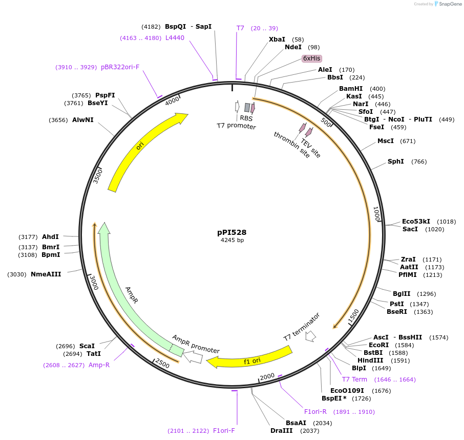 408905_map