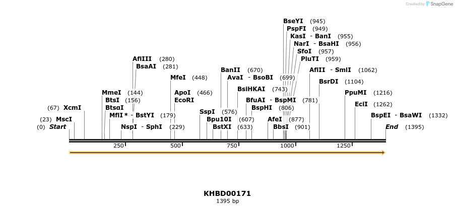 40891_map