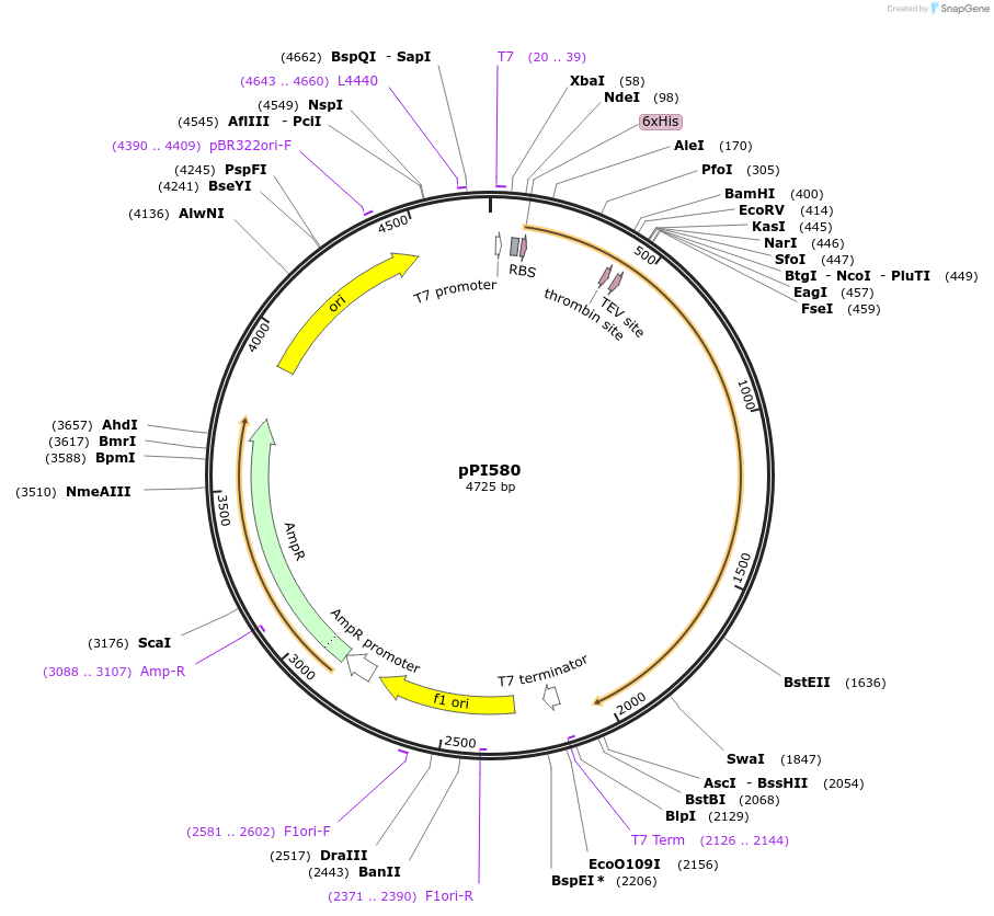 408912_map