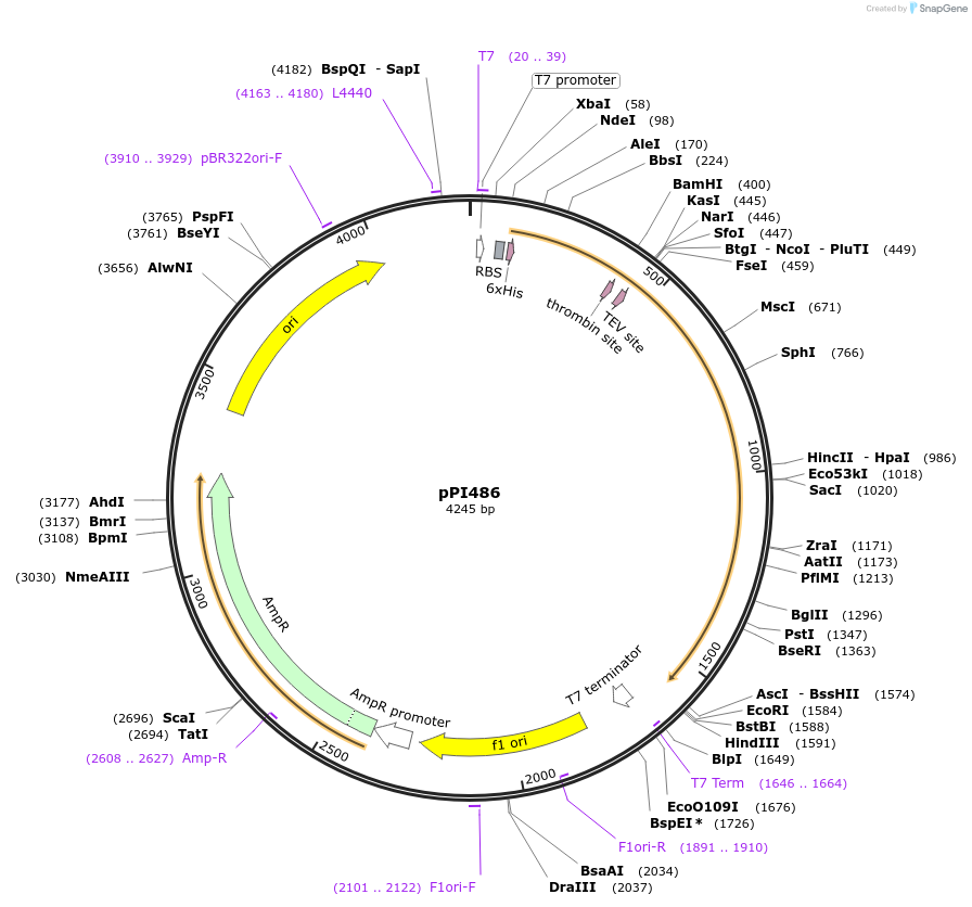 408913_map