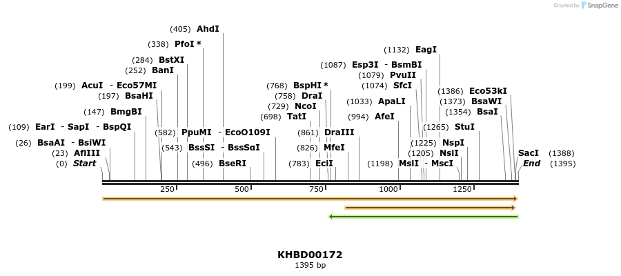 40892_map
