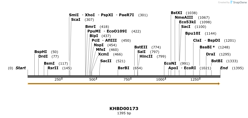 40893_map