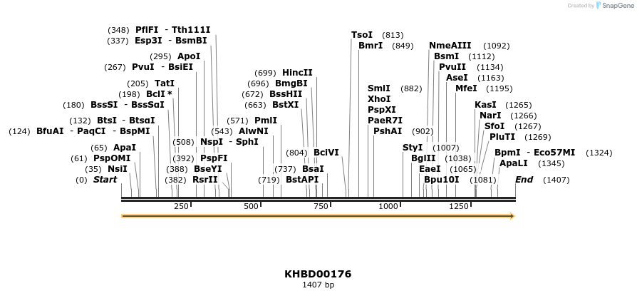40896_map