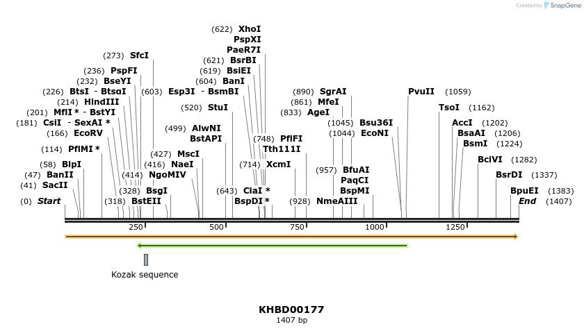 40897_map