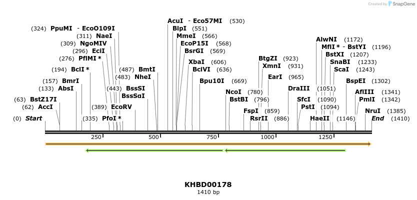 40898_map