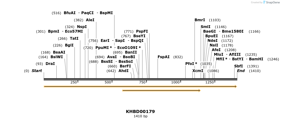 40899_map