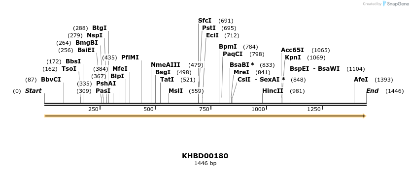 40900_map