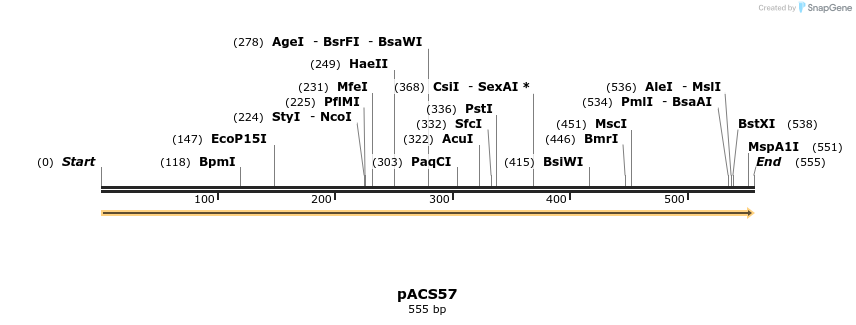 409006_map