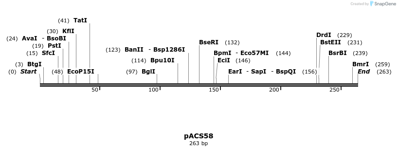 409008_map