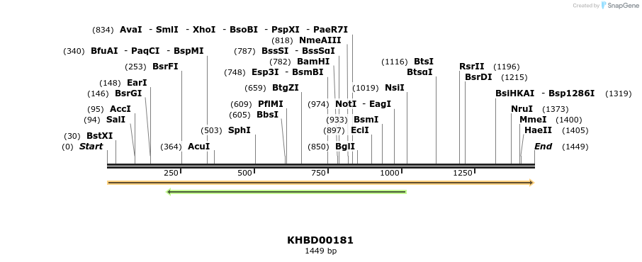 40901_map
